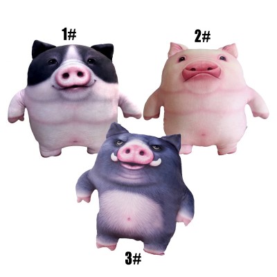 Pig Animal Pillow 3d Cartoon Pillow