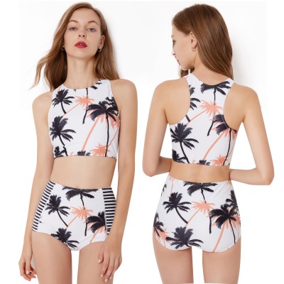 2Pcs Womens Swimsuits High Waisted Coconut Tree Print Cheap Bathing Suits